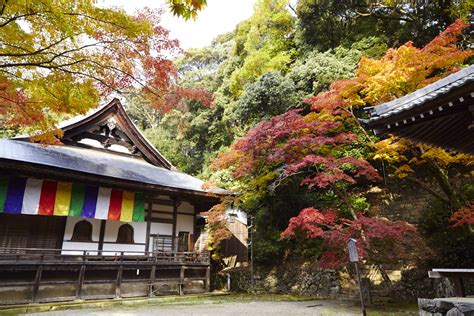 神峰山寺|神峯山寺（かぶさんじ） 